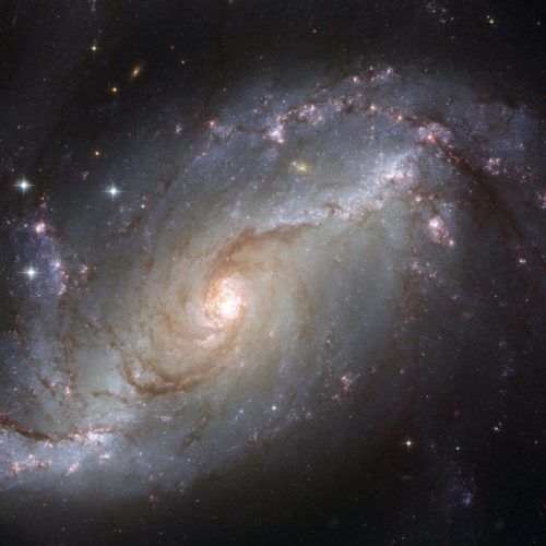 What Is The Difference Between Astrology And Astronomy?