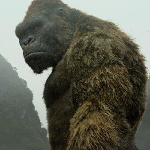 Kaiju Chronicles: How To Watch The MonsterVerse Movies And Series In Chronological Order