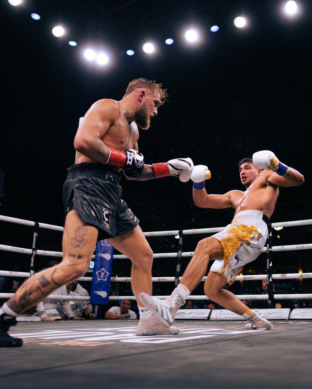 Mike Tyson VS. Jake Paul Fight HIGHLIGHTS😶 Explore o fascinante