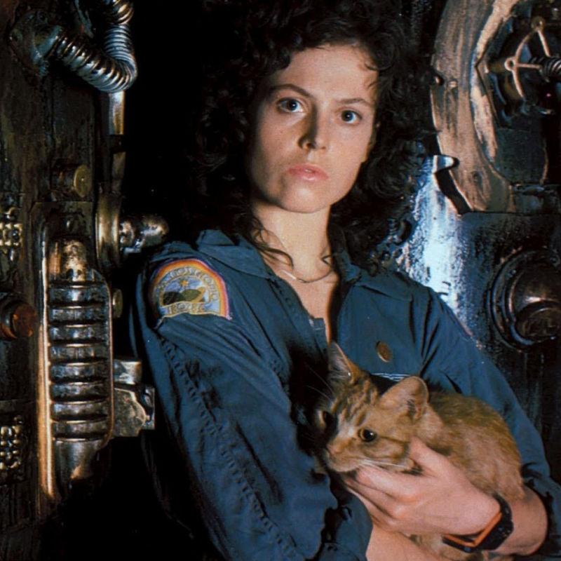 alien movies in order
