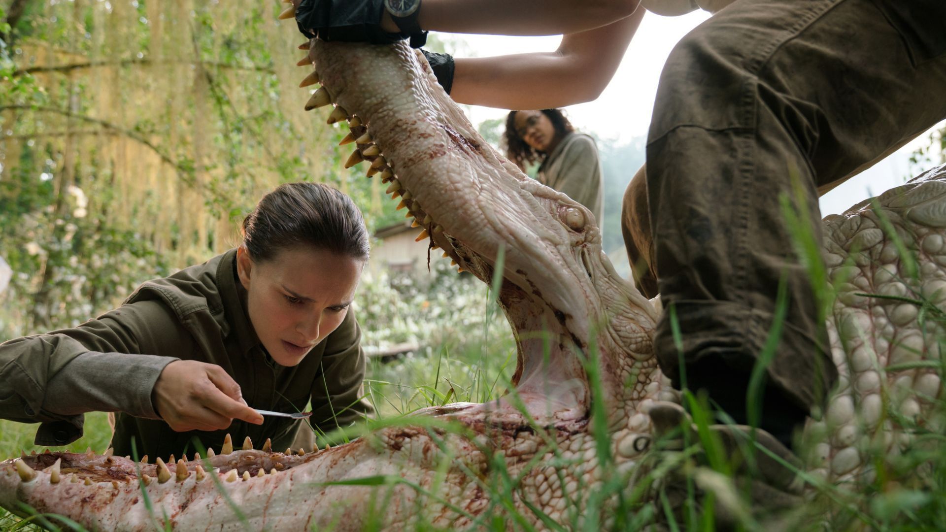 ‘Aliens’ And 12 Other Highest-Rated Sci-Fi Horror Movies On IMDb