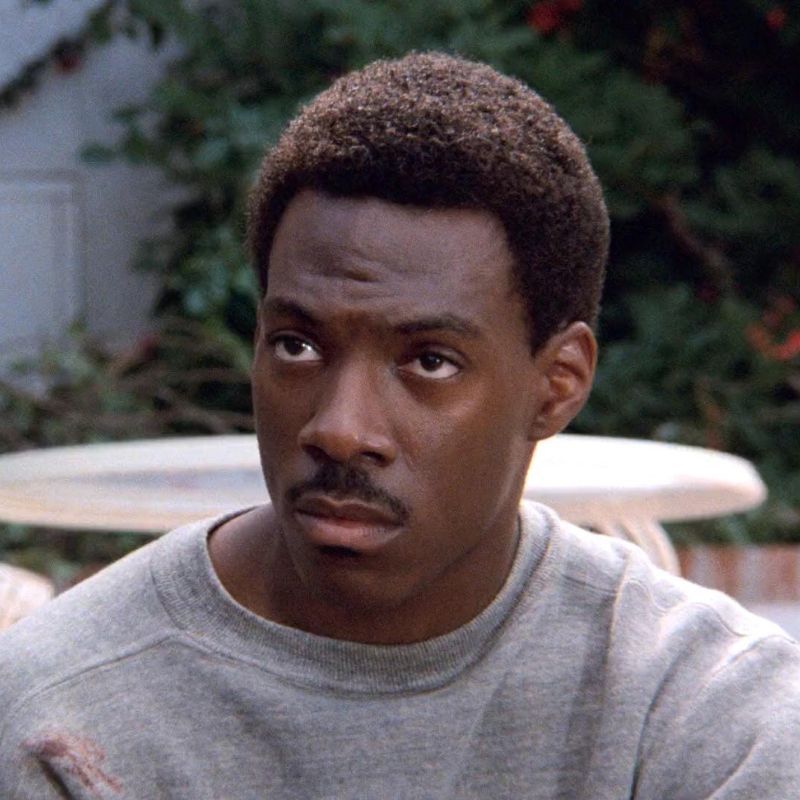 10 Eddie Murphy Movies That Show His Versatility As An Actor 10 Eddie Murphy Movies That Show His Versatility As An Actor