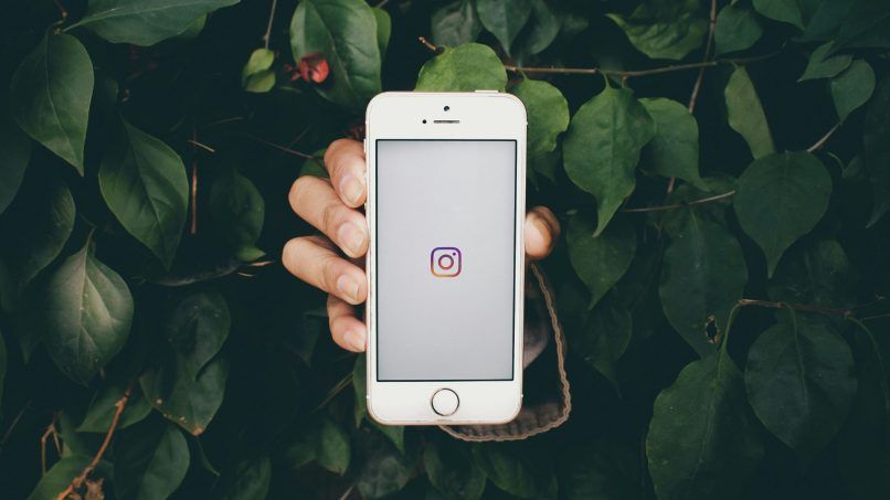 instagram couldn't refresh feed