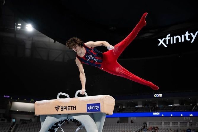 Stephen Nedoroscik pommel horse