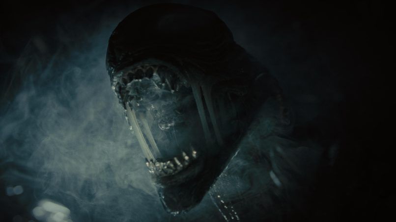 alien romulus movie