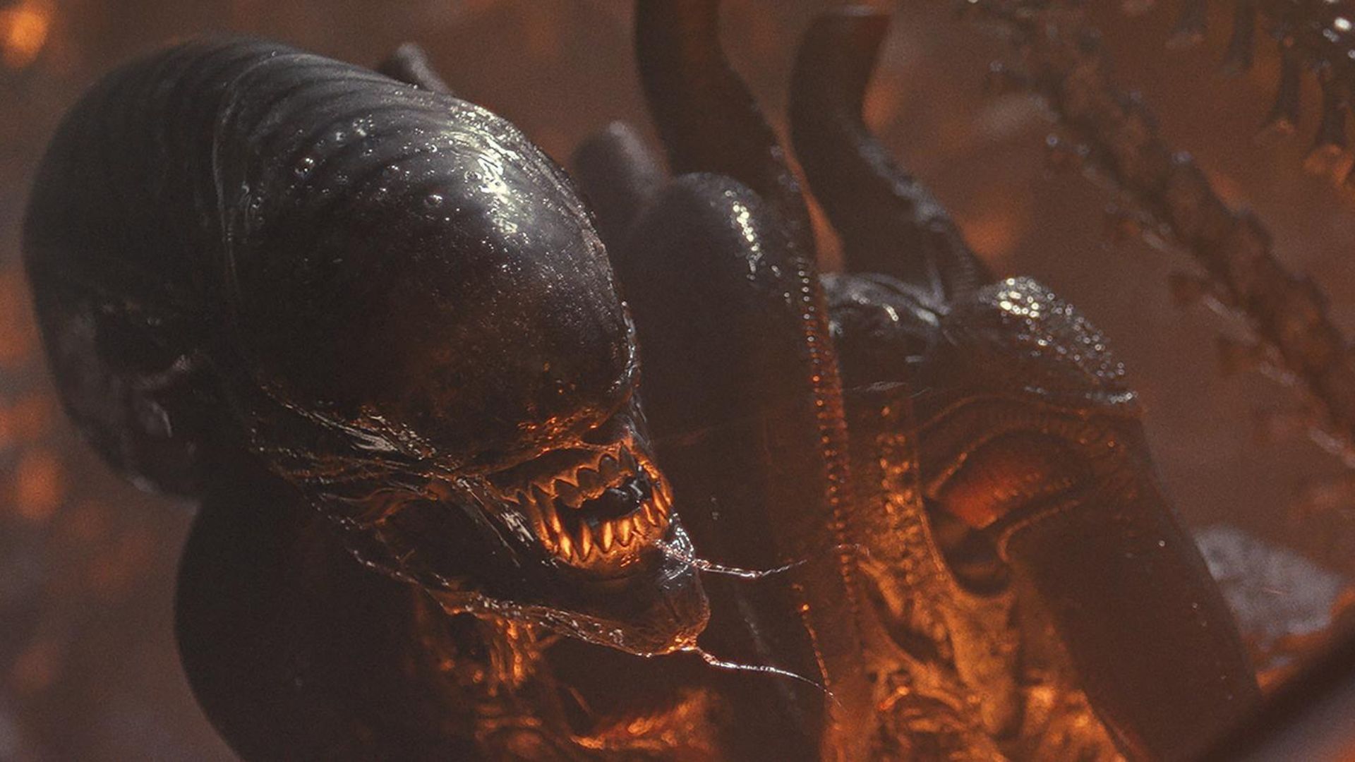 alien romulus movie