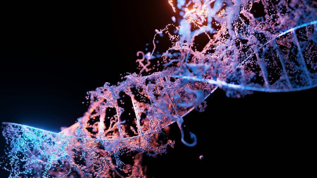 y chromosome disappearing