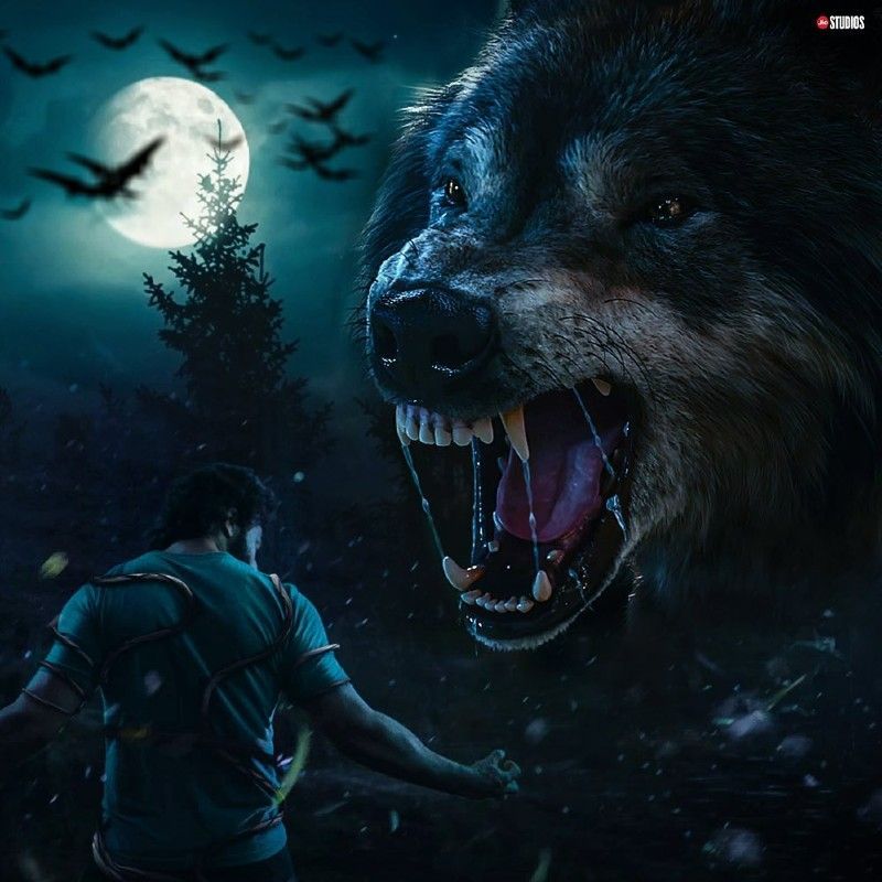 Bhediya Review: Twitter Says Varun Dhawan’s Werewolf Thriller Is Gripping And Hilarious!