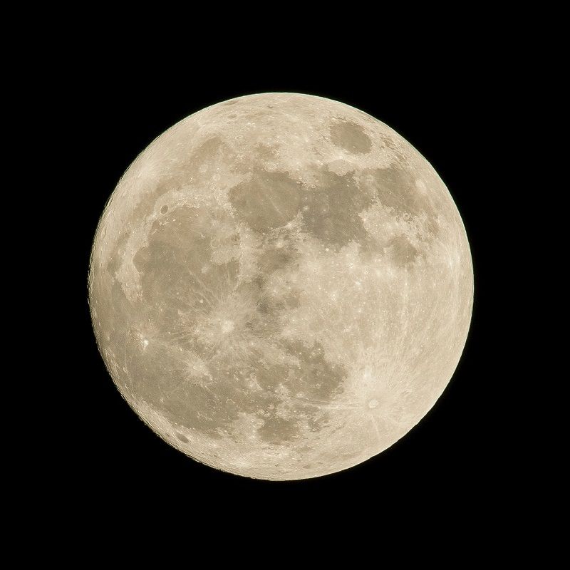 December Full Moon 2022: Find Out How The Cold Moon Will Effect Your Zodiac Sign December Full Moon 2022: Find Out How The Cold Moon Will Effect Your Zodiac Sign