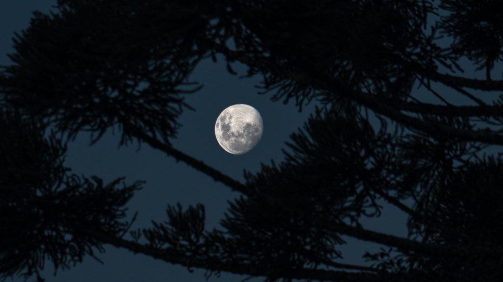 wolf moon