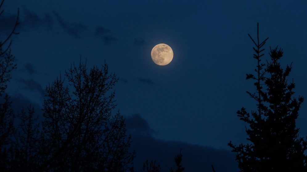 August: Super Sturgeon Moon (1 August)