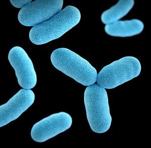 Mycoplasma symptoms