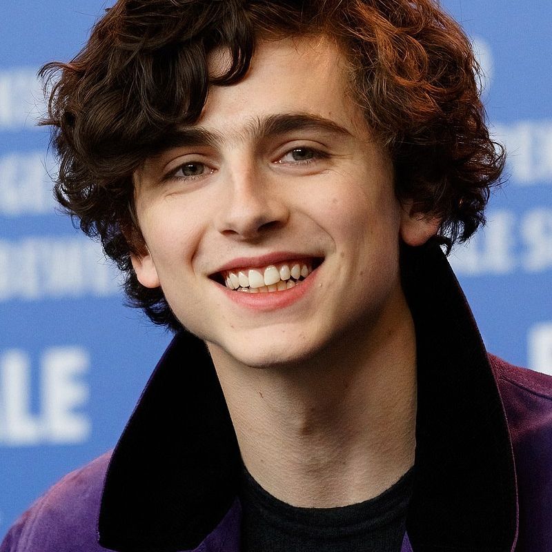 Timothée Chalamet Will Sing As Bob Dylan in Biopic