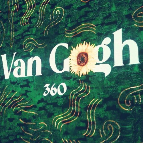 Van Gogh 360 Exhibition: What To Expect From The Immersive Experience In Delhi