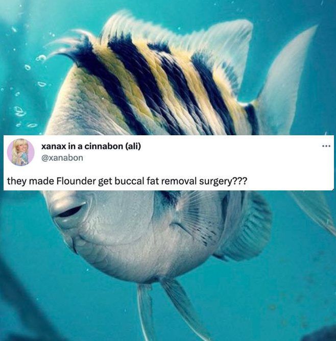 ‘The Little Mermaid’ Trailer: The Most Hilarious Twitter Reactions And Memes