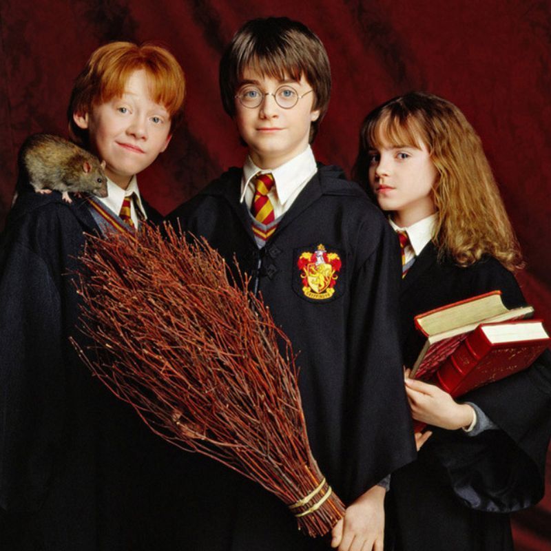 From Daniel Radcliffe To Emma Watson, What Is The Harry Potter Cast Up To These Days?