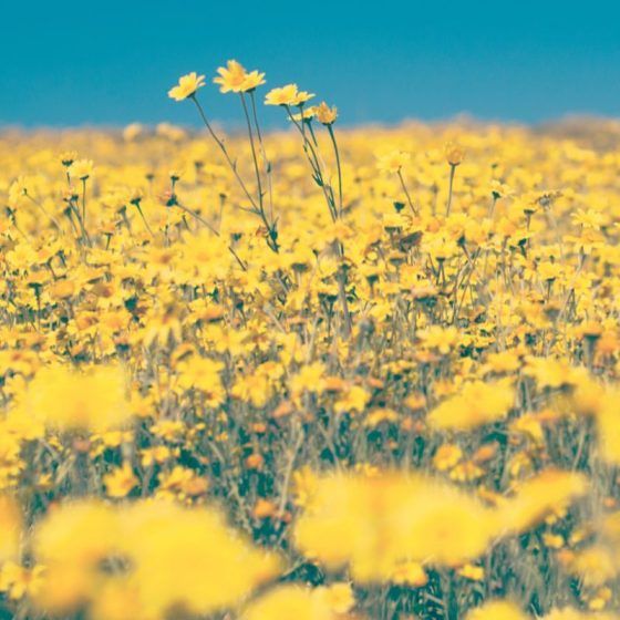 Numerology number 3 - yellow
