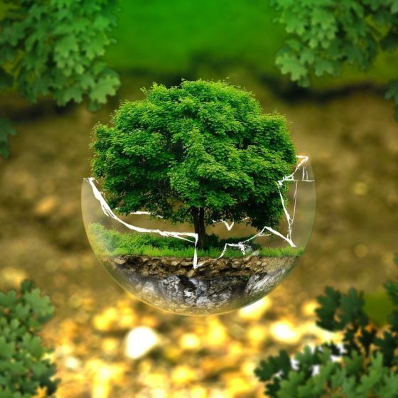 Numerology number 5 - green
