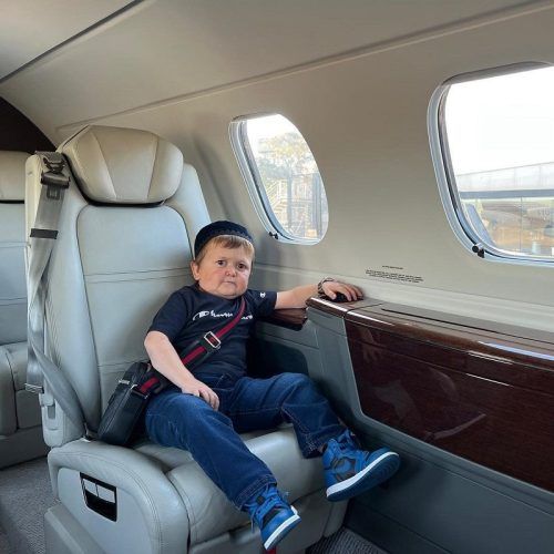 Who Is Hasbulla Magomedov? His Net Worth, UFC Connection And More