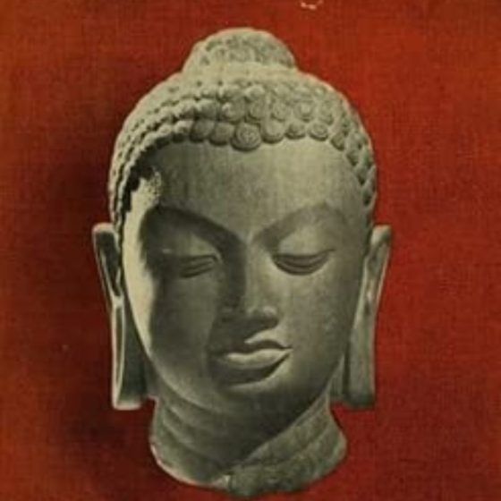 Gotoma the Buddha