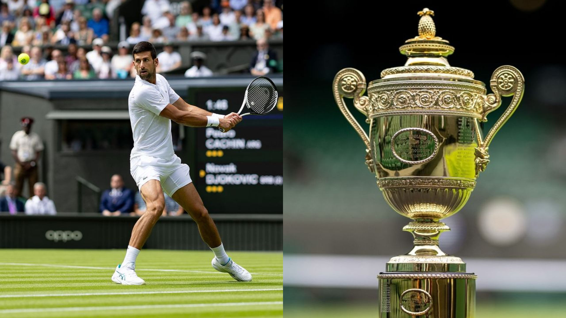 Wimbledon 2023 Photo Gallery, ATP Tour