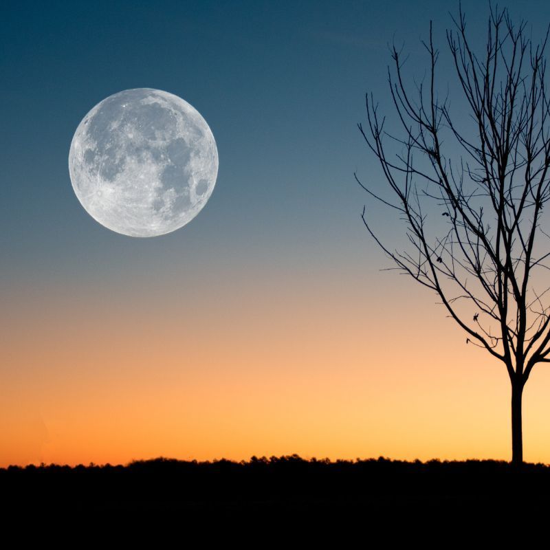 Full Hunter’s Moon: How Will This Phenomenon Affect The Zodiacs?