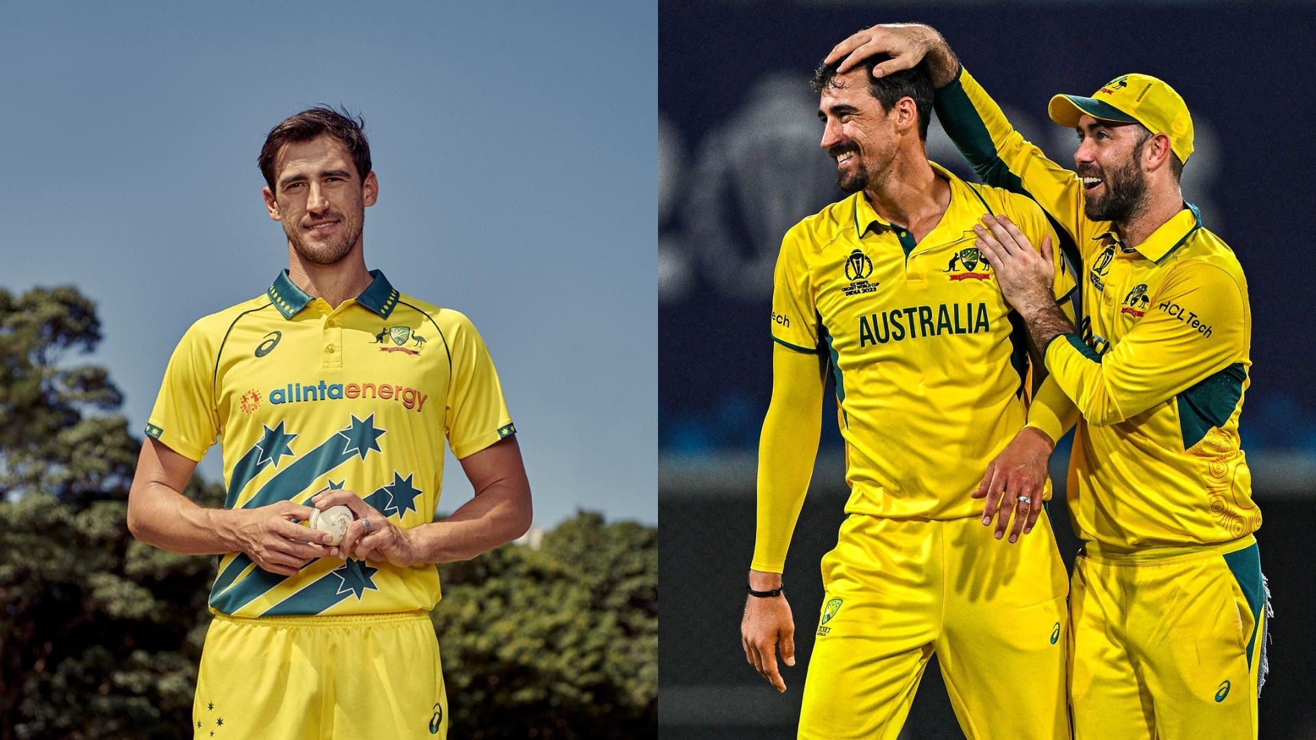 Mitchell Starc's Net Worth Most Expensive IPL Player's Earnings, Assets